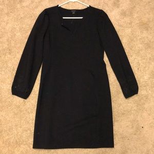 Ann Taylor Dress EUC